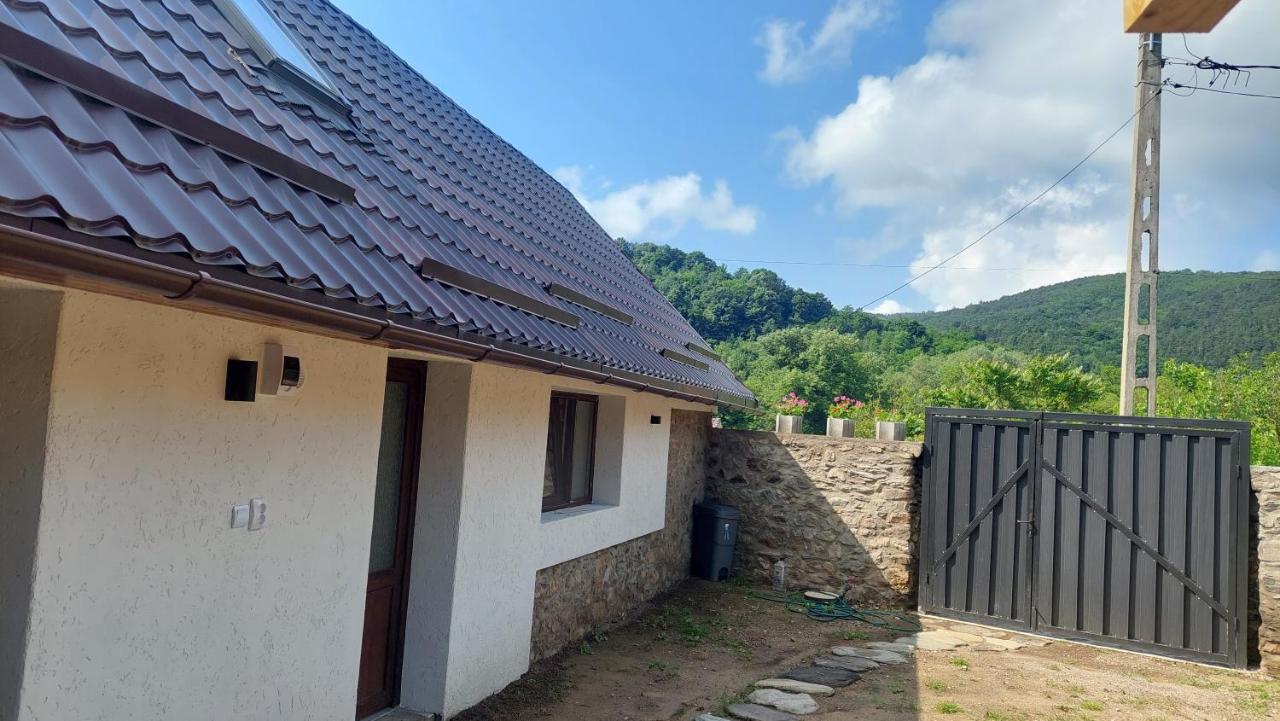 הוילה Sasca Montană Casa Noua מראה חיצוני תמונה