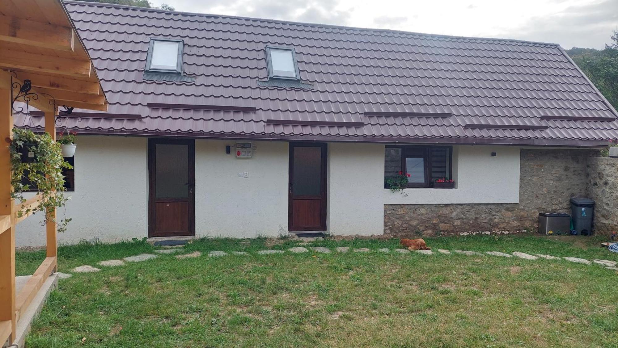 הוילה Sasca Montană Casa Noua מראה חיצוני תמונה